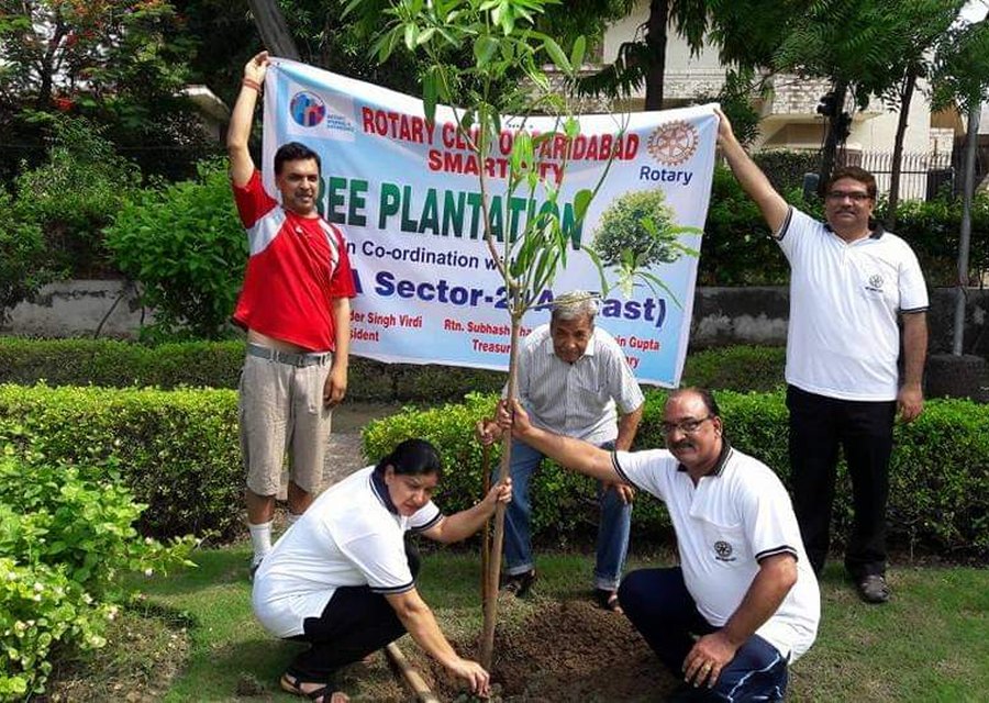 Volunteers planting a sapling at a tree plantation drive